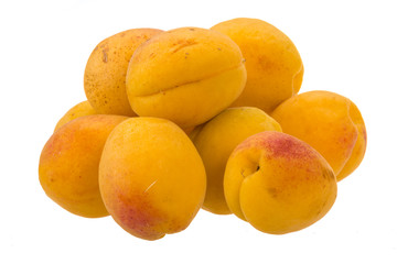Fototapeta na wymiar Yellow bright apricot