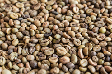 Coffee beans