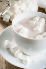 Cup of Hot Chocolate with marshmallows
