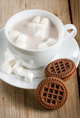Cup of Hot Chocolate with marshmallows