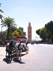 モロッコ　観光地