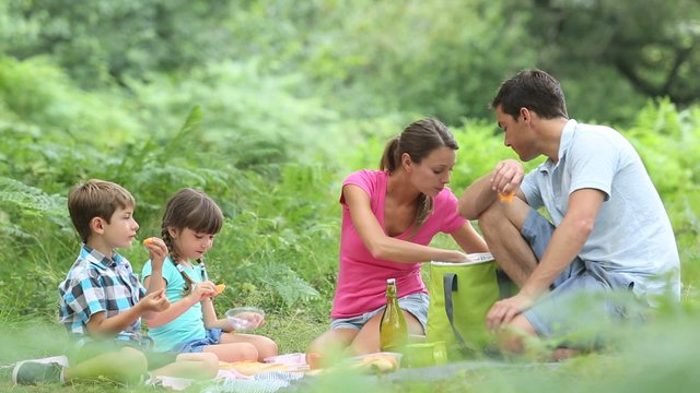 Family picnic time in countryside