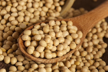 Organic Dry Soy Beans