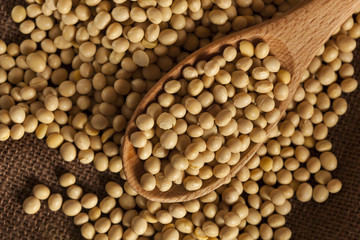 Organic Dry Soy Beans