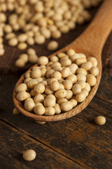 Fototapeta na wymiar Organic Dry Soy Beans