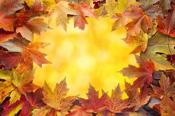 Naklejka na ściany i meble Colorful Maple Tree Fall Leaves Border with Bokeh