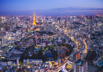 Tokyo Cityscape