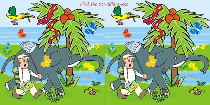 10 differences-man and elephant