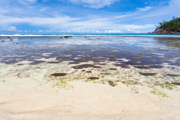 marée basse aux Seychelles
