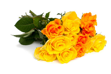bunch of yellow and orange roses isolated on white