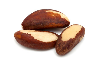 background, bertholletia, brazil, brazilian, brown, close, close