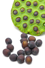 Fresh lotus ripe seed and pod