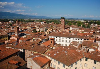 Fototapeta na wymiar Lucca-Panorama z Wieży Zegarowej