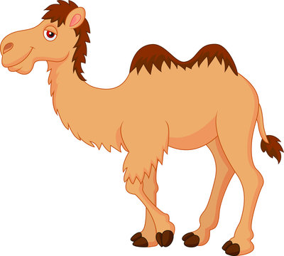 Camel Cartoon Images – Browse 17,990 Stock Photos, Vectors, and Video |  Adobe Stock
