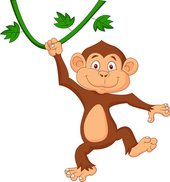 Cute monkey hanging