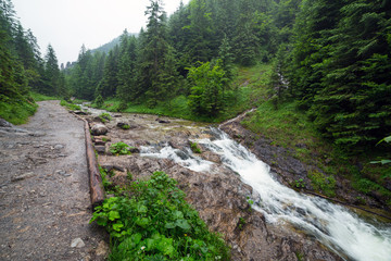 Rocky creek in Tatra mountains, Poland