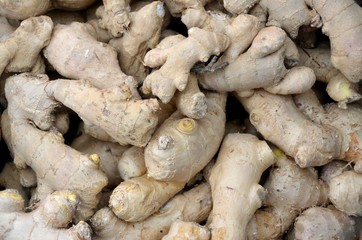 Ginger