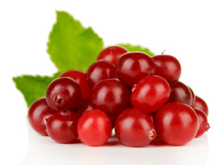 Ripe red cranberries, isolated on white.