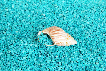 Shell on blue crystals of sea salt background