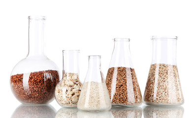 Groats in test tubes isolated on white