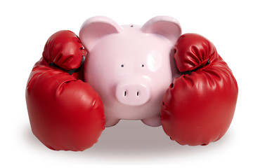 Pig and boxing-glove
