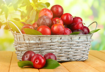 Ripe plums in basket on wooden table on natural background