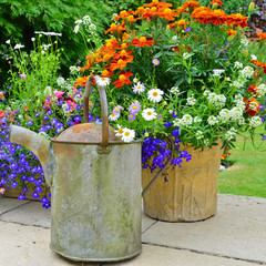 Summertime gardening