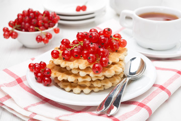 Belgian waffles with red currants on a plate
