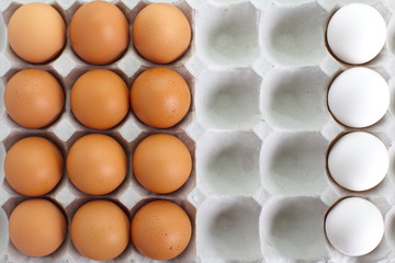fresh eggs in pater tray