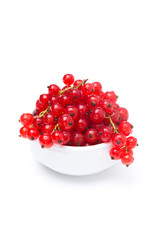 bowl of red currant isolated on white