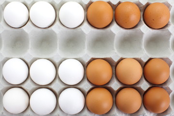 fresh eggs in pater tray