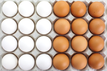 fresh eggs in pater tray