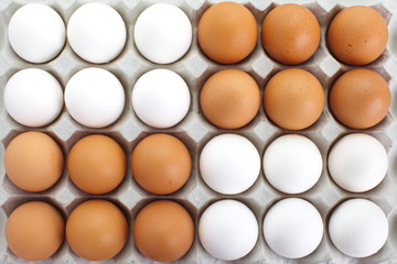 fresh eggs in pater tray