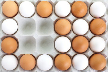 fresh eggs in pater tray