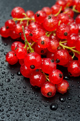 red currant with drops of water on black background, vertical