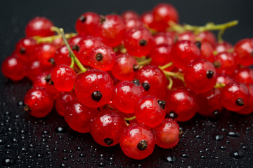 red currants on a black background, close-up
