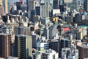 Fototapeta premium Tokyo, Japan