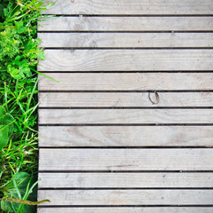 Fototapeta premium Walkway