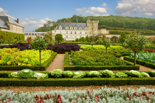 garden in Villandry chateau, France