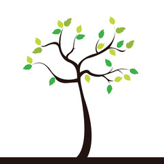 Obraz premium small tree