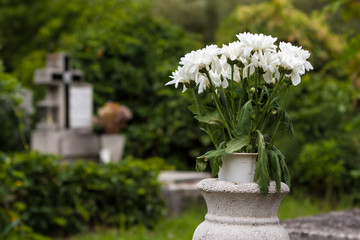 Flowers in cemetery