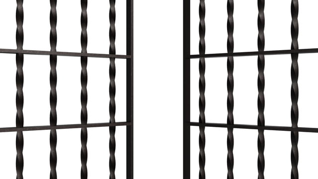 iron bars