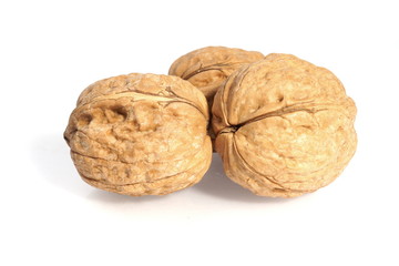 Walnut