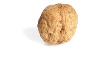 Walnut