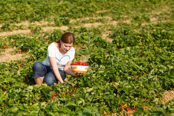Young woman on organic strawberry farm