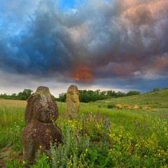ansient idol in a steppe