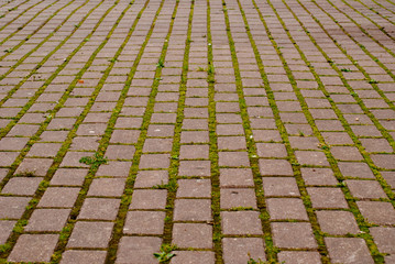 Fototapeta premium Stone paving