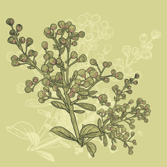 Floral ornament with branches in vintage style