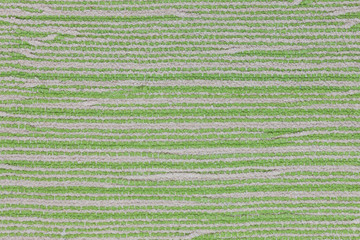 インド木綿のラグ