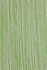 インド木綿のラグ